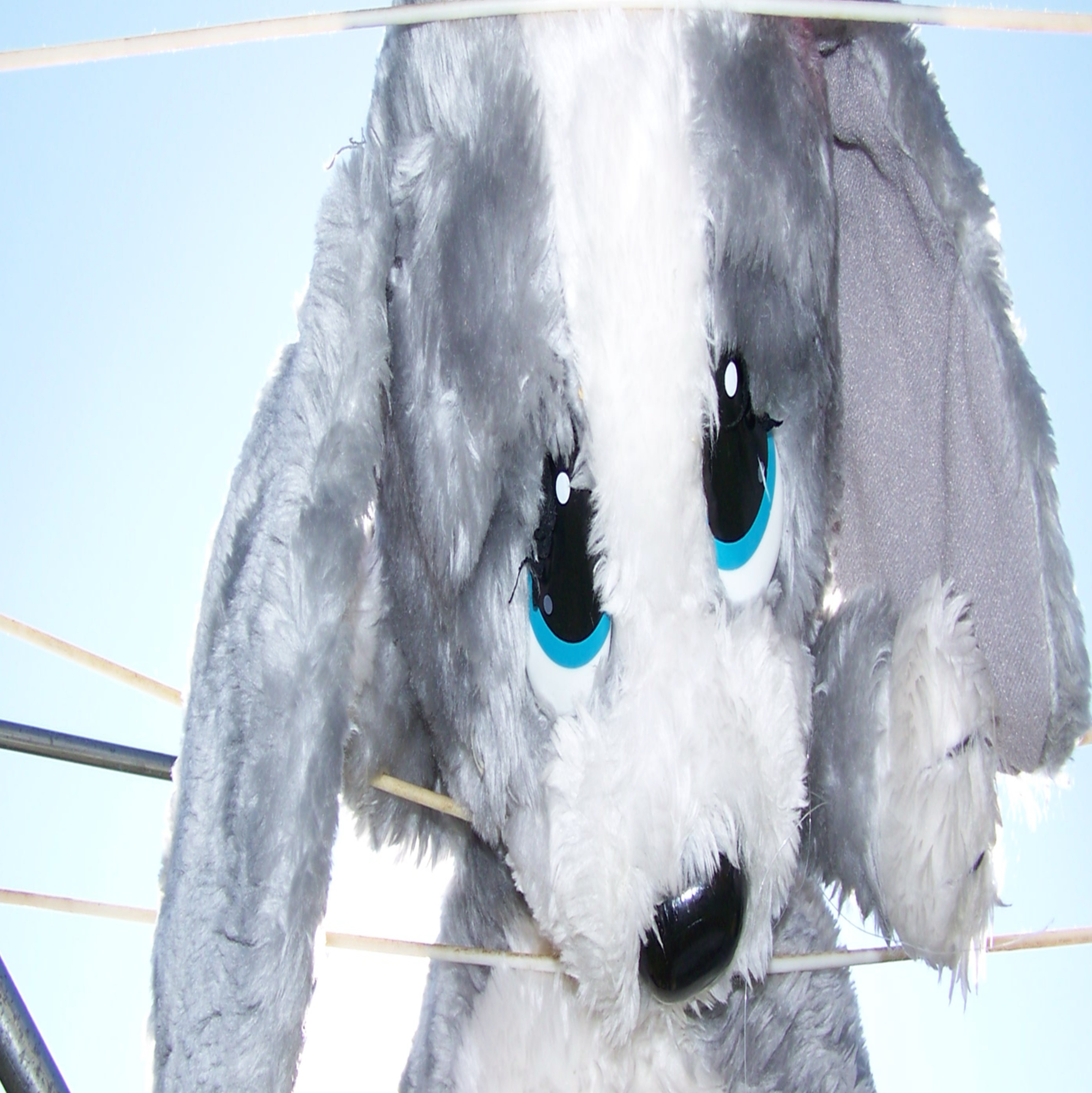 PiFyi profile picture for @soft