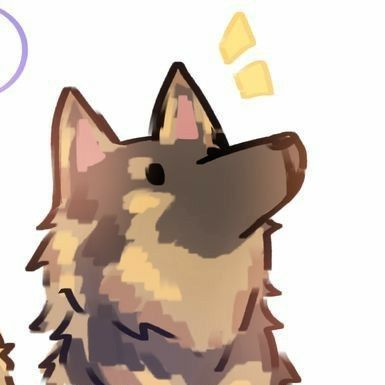 PiFyi profile picture for @marv