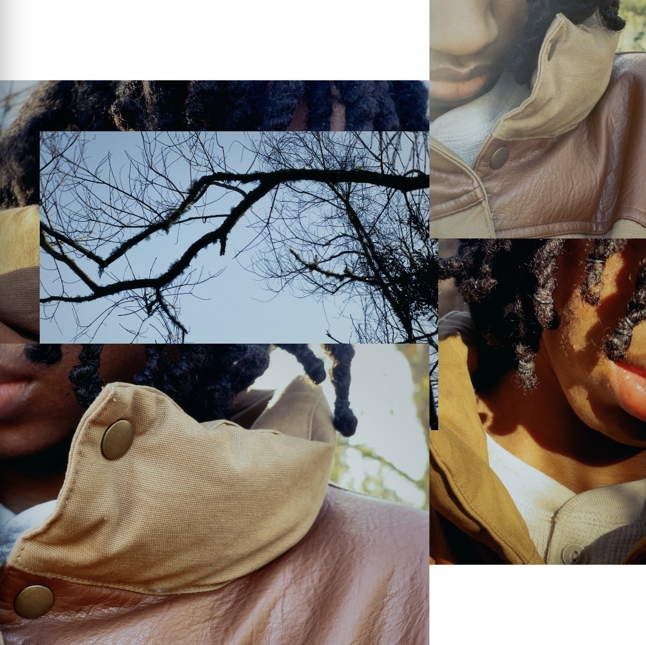 PiFyi banner for @crosses