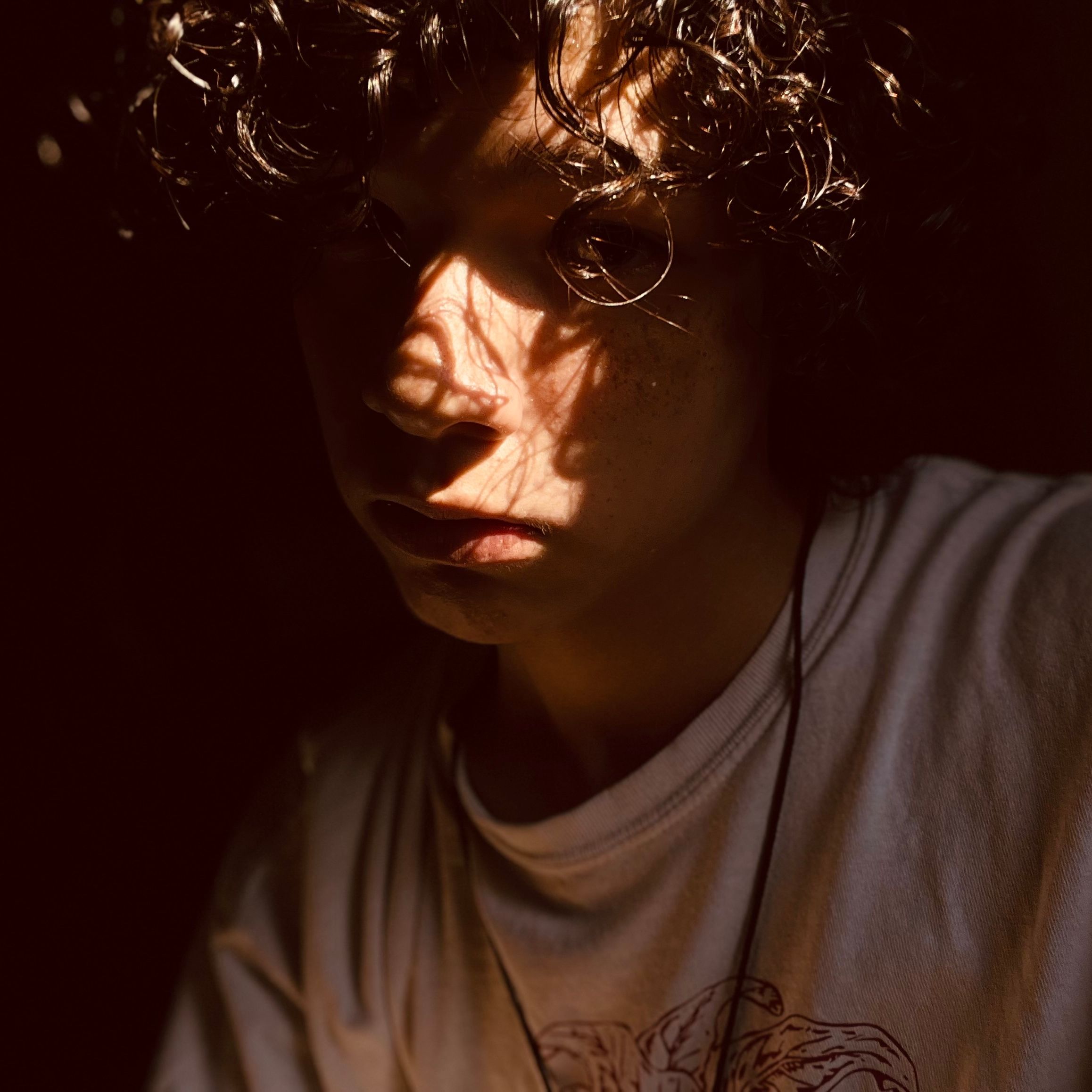 PiFyi profile picture for @undertow