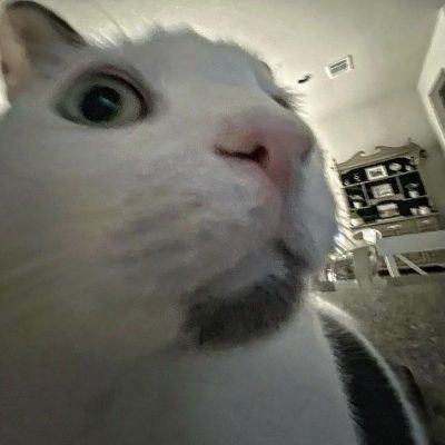 PiFyi profile picture for @chester