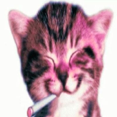 PiFyi profile picture for @zeenat
