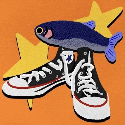 PiFyi profile picture for @sleepless