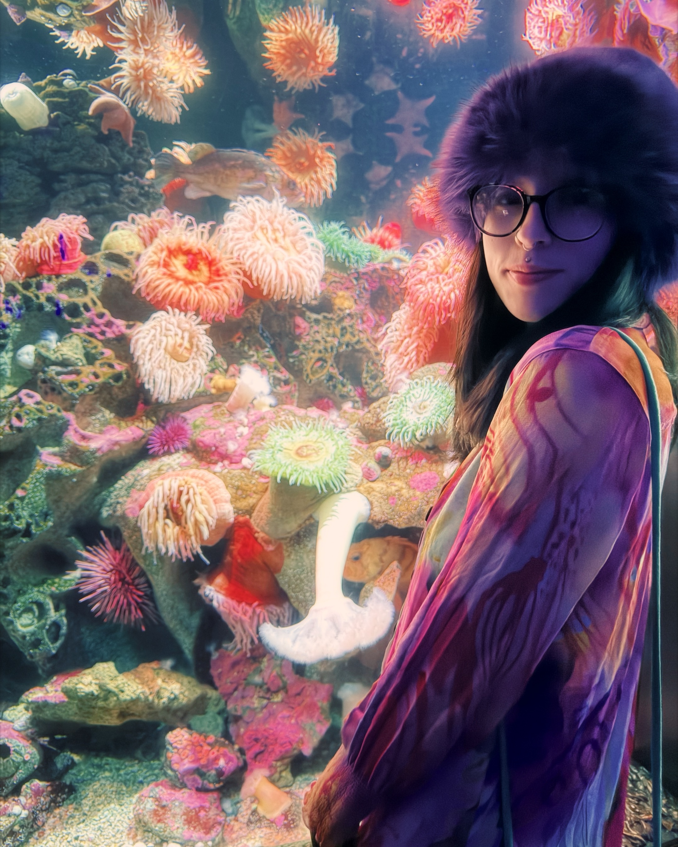 PiFyi banner for @lucid