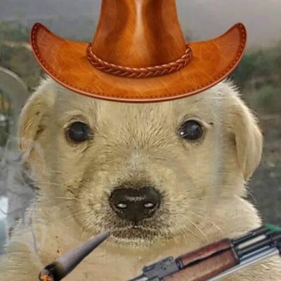 PiFyi profile picture for @bongo
