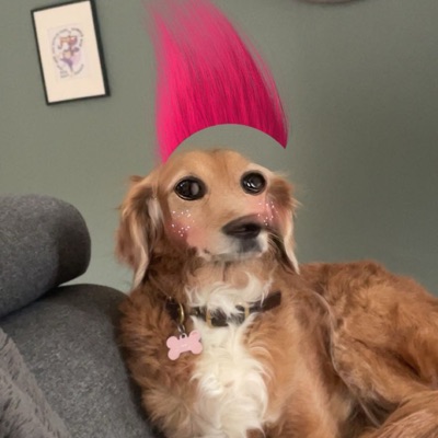 PiFyi profile picture for @fiesta