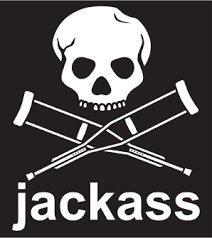 PiFyi profile picture for @jackass