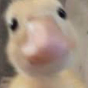 PiFyi profile picture for @testicular