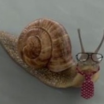 PiFyi profile picture for @shellfish