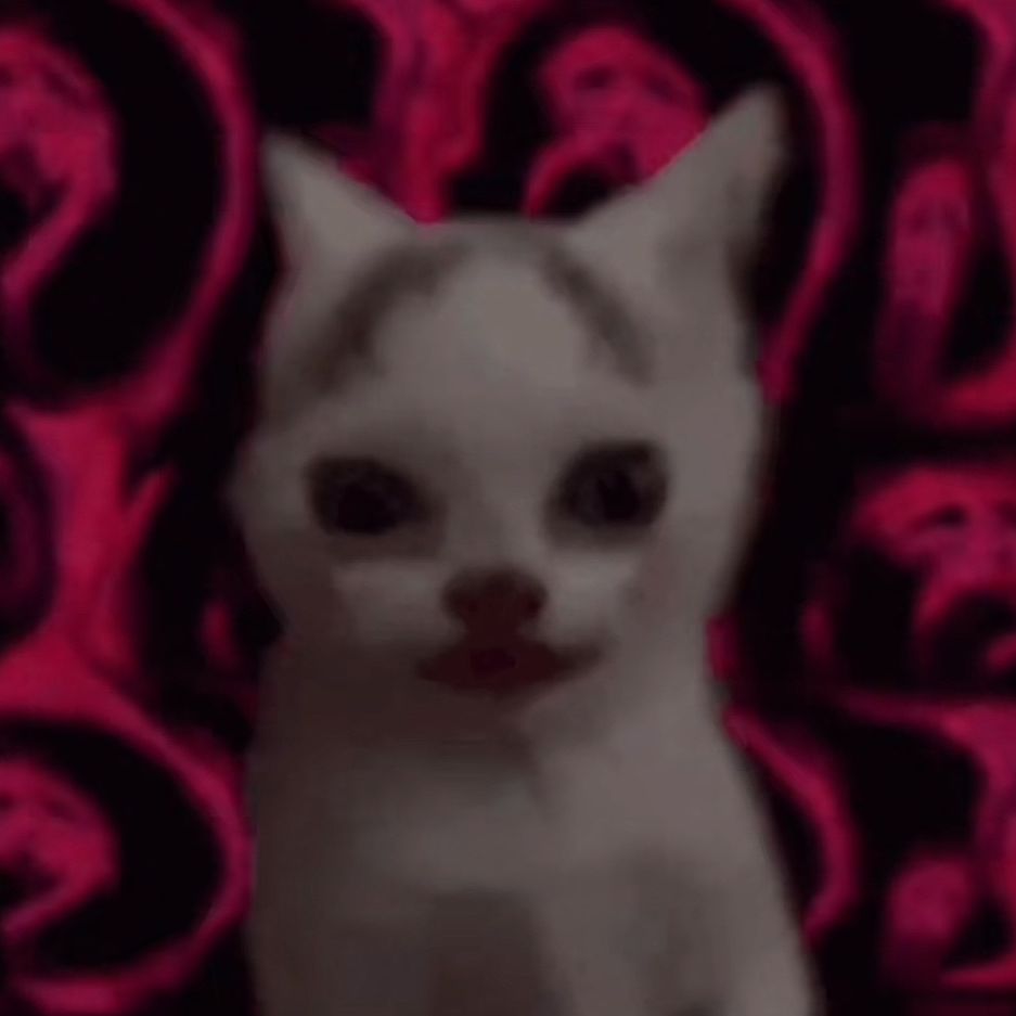PiFyi profile picture for @jokes