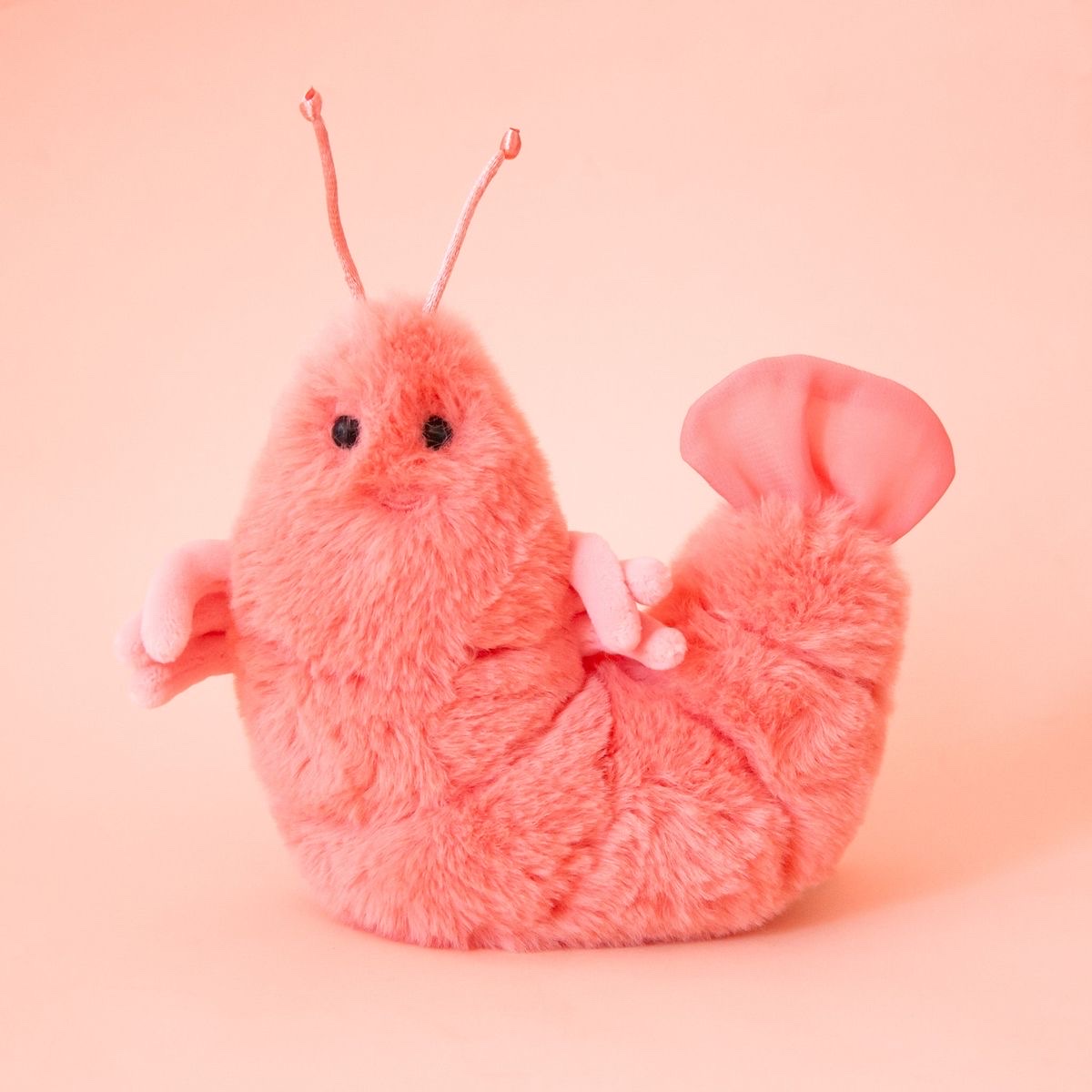 PiFyi profile picture for @mpls