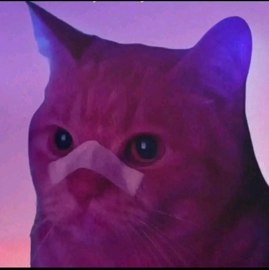 PiFyi profile picture for @nicols