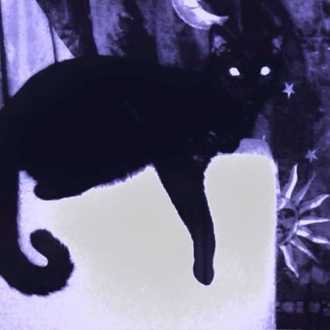 PiFyi profile picture for @apocalyptic