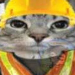 PiFyi profile picture for @chic
