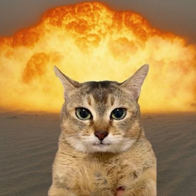 PiFyi profile picture for @margaritas