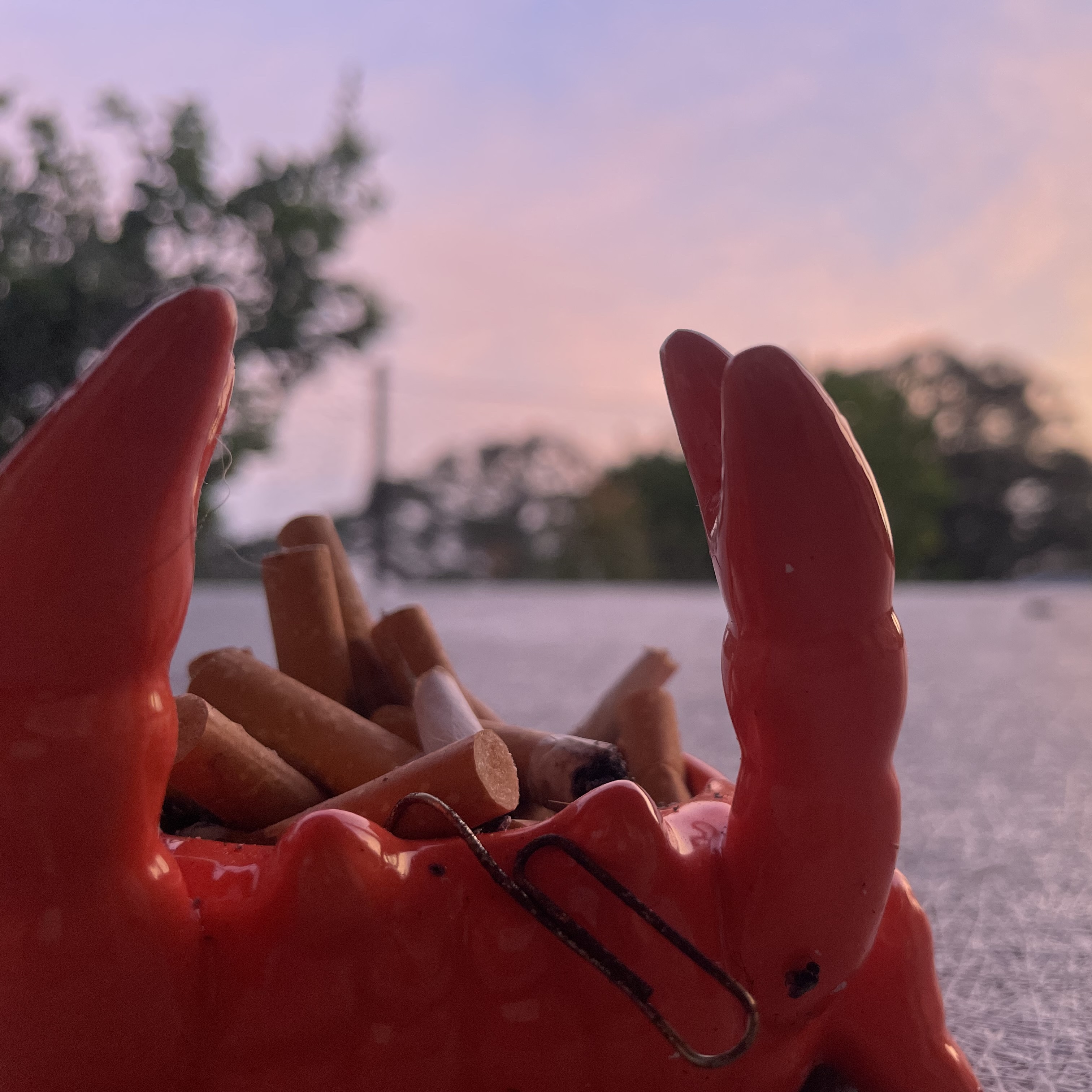 PiFyi banner for @raid